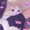 KITTEN MOODs 5