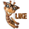fun giraffe 9