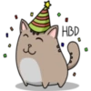 Chopin fat cat 6