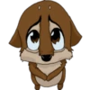 Felix Pack 4