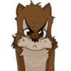 Felix Pack 6