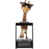 fun giraffe 12
