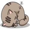 Chopin fat cat 8