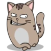 Chopin fat cat 9