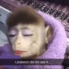 cutie monkey 10