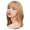 Lisa 6