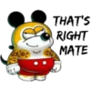 THAT'S RIGHT MATE