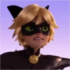 Adrien Agreste 11