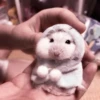 lil hᥲms 7