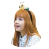 Lisa 8