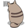 Chopin fat cat 10