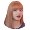 Lisa 9