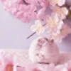 lil hᥲms 8