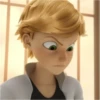 Adrien Agreste 13
