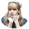 Lisa 11