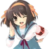 The Melancholy of Haruhi Suzumiya 13