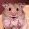 lil hᥲms 11