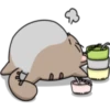 Chopin fat cat 13