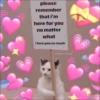 KITTEN MOODs 15