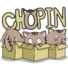 Chopin fat cat 16