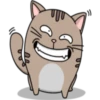 Chopin fat cat 17