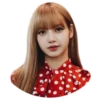 Lisa 15