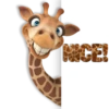 fun giraffe 22