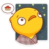 duckling_vk 19