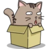 Chopin fat cat 18