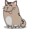Chopin fat cat 19