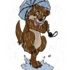 Felix Pack 14