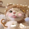 獻