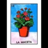 Lotería mexicana 22