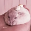 lil hᥲms 17