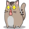 Chopin fat cat 21