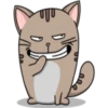 Chopin fat cat 22
