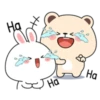 た