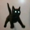 Kittens Clau 20