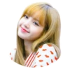 Lisa 19