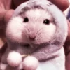 lil hᥲms 18