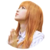 Lisa 20