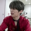 LEE MINHO STRAY KIDS 22