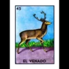 Lotería mexicana 29