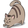 Chopin fat cat 23