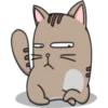 Chopin fat cat 24