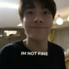 IM NOT FINE