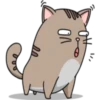 Chopin fat cat 27