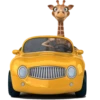 O