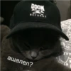 Cats 7