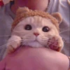 MEOW 5